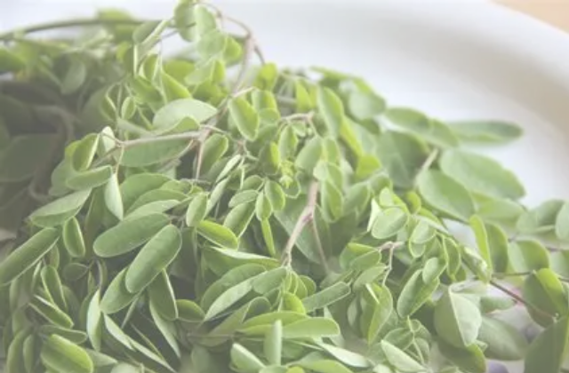 Moringa